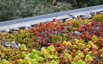 the cost of Forcett green roof installation