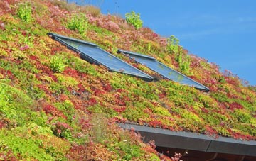 Forcett living roof systems