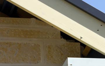 soffit repair Forcett